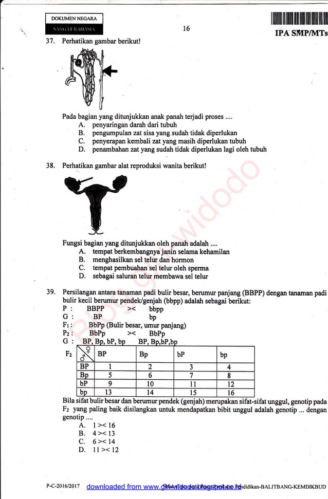 Persiapan Mid Semester 2 IPA Kelas 9: Panduan Lengkap Mengunduh Soal Latihan
